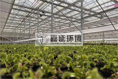云南省農(nóng)業(yè)科學院花卉研究所.jpg